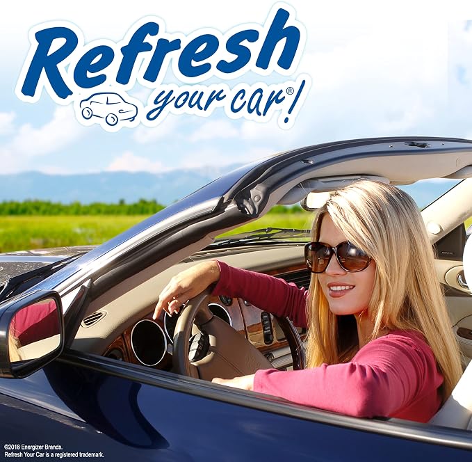 Odor Elimination cool breeze Auto Vent Stick, New Car, 6 Per Pack (Pack of 2)
