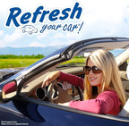 Odor Elimination cool breeze Auto Vent Stick, New Car, 6 Per Pack (Pack of 2)