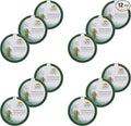 Solid Air Freshener, Bamboo Rainforest, 8 Ounce (Pack of 12)