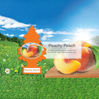 Cardboard Hanging Car, Home & Office Air Freshener, Peachy Peach (Pack of 6)
