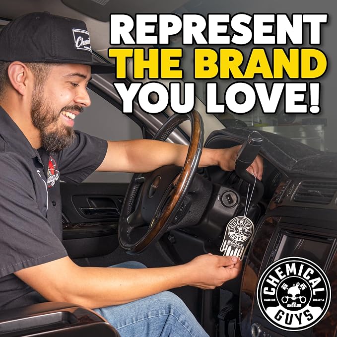 Black Frost Air Freshener and Odor Eliminator, 16 fl oz Spray with 3 Pack of Hanging Air Fresheners (Great for Cars, Trucks, SUVs, RVs, Home, Office, Dorm Room & More) - HOL432