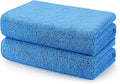 Car Drying Towels, 2 Pack Professional Microfiber Towels for Cars, Scratch-Free, Highly Absorbent Drying Towel for Cars, SUVs, RVs, Trucks, and Boats, 31 x 24 inch, Blue