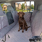 56" Wx60 L Dog Car Seat Cover for SUV & Truck, Heavy Duty 900D Waterproof Pet Hammock with Mesh Window, Odorless Scratchproof Backseat Protector for Large Dogs, Fit Model Y, F-150, RAV4 - Grey