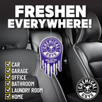 Hanging Air Freshener, Galactic Scent 12 Pack, Great for Cars, Trucks, SUVs, RVs, Home, Garage, Workspace, Dorm Room & More (4 x 3 Packs) - AIR42304