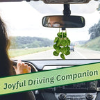 Crochet Hanging Plant for Car,Car Decorations Interior,Plant Aesthetic Car Accessories for Women Interior Cute,Car Ornaments Charms for Rear View Mirror,Boho Car Decoration Gifts