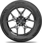 Set of 2 (Two) Ecosport GT Ultra High-Performance 255/30R24 All Season Passenger Tire Set 255/30/24 255/30ZR24XL 97W XL Dual Tread Design for Sports Cars & Luxury Sedans[TIRE ONLY]