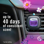 Car Air Freshener Vent Clip Gain Moonlight Breeze Scent,.07 oz. Car Vent Clip, Pack of 3 and Stay-Fresh Storage Case