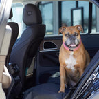 Waterproof Dog Car Seat Cover, Scratch Proof Protector for Pet, Car Back Bench, 56 x 47 inch, Black