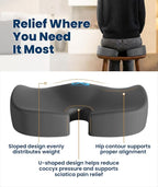 Doctor Recommended Memory Foam Seat Cushion for Office Chairs & Car - Ergonomic Office Desk Accessories - Cushions for Tailbone Pain Relief, Sciatica (Gray, Large)