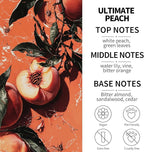 2-Pack Car Fresheners Long Lasting & Car Deodorizer - Ultimate Peach Hanging Car Air Freshener for Women, Car Necessities & Scent Diffuser by