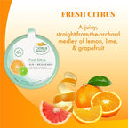 2-Pack Solid Air Freshener, 8-Ounce, Citrus