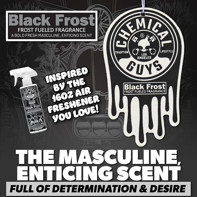 Hanging Air Freshener, Black Frost Scent 6 Pack, Great for Cars, Trucks, SUVs, RVs, Home, Garage, Workspace, Dorm Room & More (2 x 3 Packs) - AIR40502