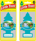 Cardboard Hanging Car, Home & Office Air Freshener, Rainforest Mist (Pack of 12)