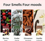 20 Packs Cedar Cinnamon Vanilla Berries Potpourri Bag Scent Sachet for Closet Drawer Room Car Home Air Freshener Shoe Odor Elimination