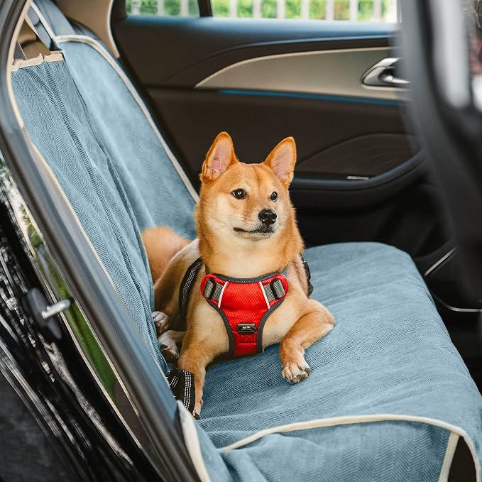 Dog Car Seat Cover for Back Seat, Back Seat Pet Cover for Dogs Waterproof, Scratchproof Dog Backseat Cover, Non-Slip Bench Car Seat Protector, Universal Fit Most Cars, SUVs, Trucks, Blue