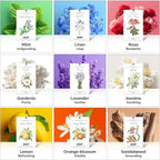 12 Pack Lavender Scented Sachets | Odor Eliminator & Air Freshener for Drawer, Closet, Car, Shoes, Gym Bag, Suitcase | Home Fragrance Gift Set