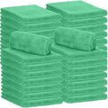 30 Pcs 16 x 16 Inch Edgeless Microfiber Plush Towels for Cars Detailing Drying Wash Polishing Absorbent Cleaning Cloths, 500 GSM (Grass Green)