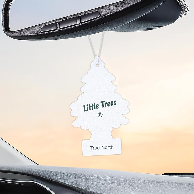 Car Air Freshener | Hanging Tree Provides Long Lasting Scent for Auto and Home | 24 Air Fresheners |True North