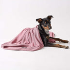 Pet Grooming Towel Collection Absorbent Microfiber X-Large, 41x23.5", Embroidered Rose