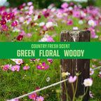 8 Oz. Air Sanitizer & Odor Eliminator for Homes, Cars, Offices and More, Country Fresh Scent, Pack of 3