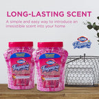 Fraganzia Crystal Beads Air Freshener Twin Pack Long Lasting Room Deodorizer Odor Eliminator Gel Beads Home Car Office Spring Scent 2 x 12 FL OZ 24 FL OZ Total 6 Pack