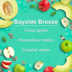Car Air Freshener | Hanging Tree Provides Long Lasting Scent for Auto and Home | 24 Air Fresheners |Bayside Breeze
