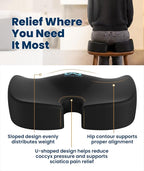 Doctor Recommended Memory Foam Seat Cushion for Office Chairs & Car - Ergonomic Office Desk Accessories - Cushions for Tailbone Pain Relief, Sciatica (Black, X-Large)