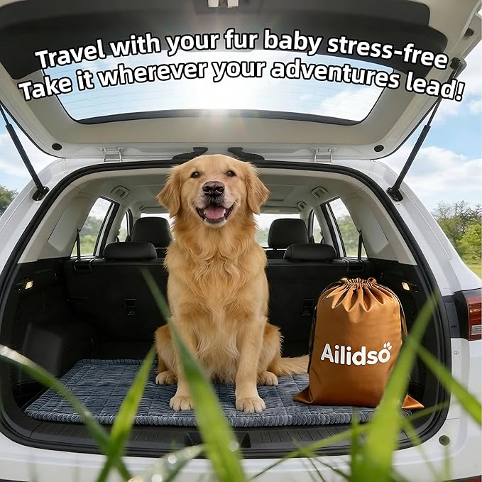 Dog Car Seat Cover, Pet Couch Covers for Car and Sofa, Non-Slip Backseat Pet Bed Mat, Machine Washable, Soft Plush Travel Seat Protector with Portable Storage Bag (Grey,23.6''×70'')