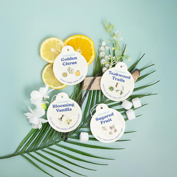 Odor Eliminating Car Charms 4-Pack - Includes: Blooming Vanilla, Golden Citrus, Sugared Fruit, Teakwood Trails