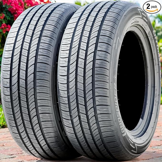 Set of 2 (TWO) Citytraxx G/P All-Season Passenger Car Performance Radial Tires-205/55R16 205/55/16 205/55-16 91V Load Range SL 4-Ply BSW Black Side Wall UTQG 560AA