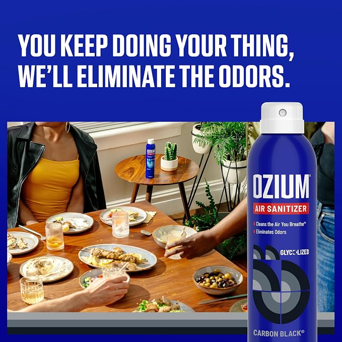 Air Sanitizer Spray - Room Odor Eliminator for Home, Car, and Office - Carbon Black - 8 oz Can - 1 Pack