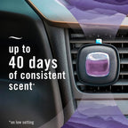 Car Mountain Scent Air Freshener Vent Clip,.07 oz, 2 Count