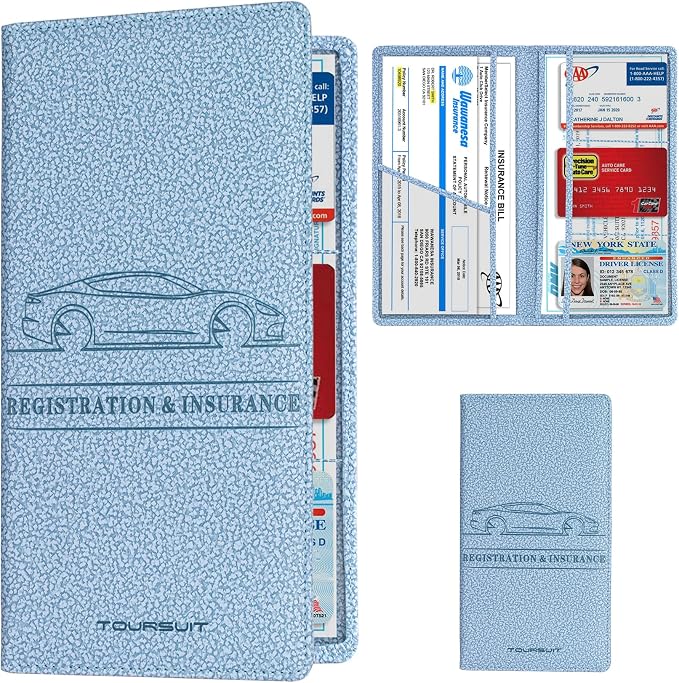 Car Registration and Insurance Card Holder, Vehicle License Document Glove Box Compartment Organizer, Essential Car Wallet Case for Driver Auto Owners (M Light Blue)