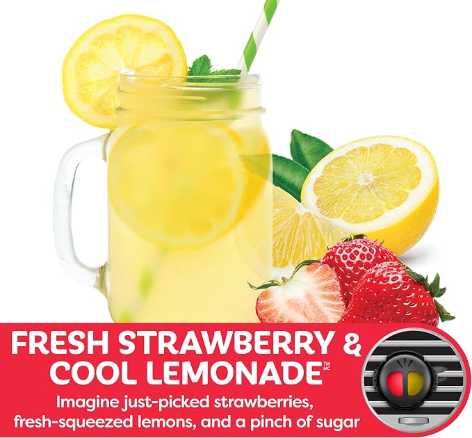 Fresh Strawberry/Cool Lemonade Scent Mini Diffusers, 2 Count