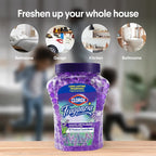 Fraganzia Crystal Beads Air Freshener, Long Lasting Room Deodorizer and Odor Eliminator Gel Beads to Freshen Home, Car, or Office, Lavender with Eucalyptus Scent, 12 Fl Oz