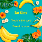 Car Air Freshener | Hanging Tree Provides Long Lasting Scent for Auto and Home | 24 Air Fresheners |Be Kind