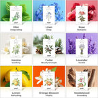 12 Pack Cedarwood Scented Sachets for Drawer, Closet & Small Spaces Air Freshener Bags, Odor Eliminator for Car, Shoes, Gym Bag Home Fragrance Gift Set