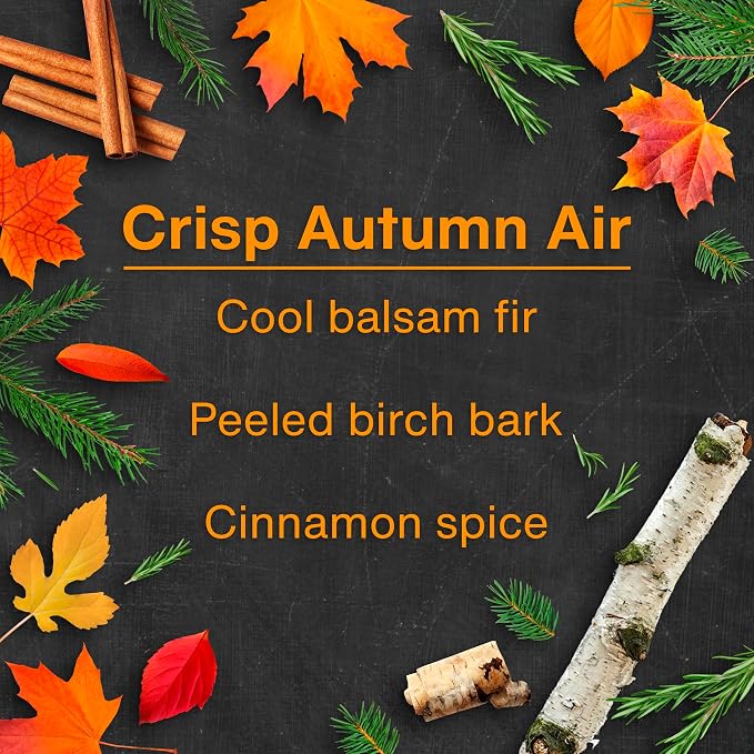Car Air Freshener | Hanging Tree Provides Long Lasting Scent for Auto and Home | Crisp Autumn Air, 24 Air Fresheners
