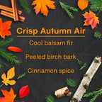 Car Air Freshener | Hanging Tree Provides Long Lasting Scent for Auto and Home | Crisp Autumn Air, 24 Air Fresheners