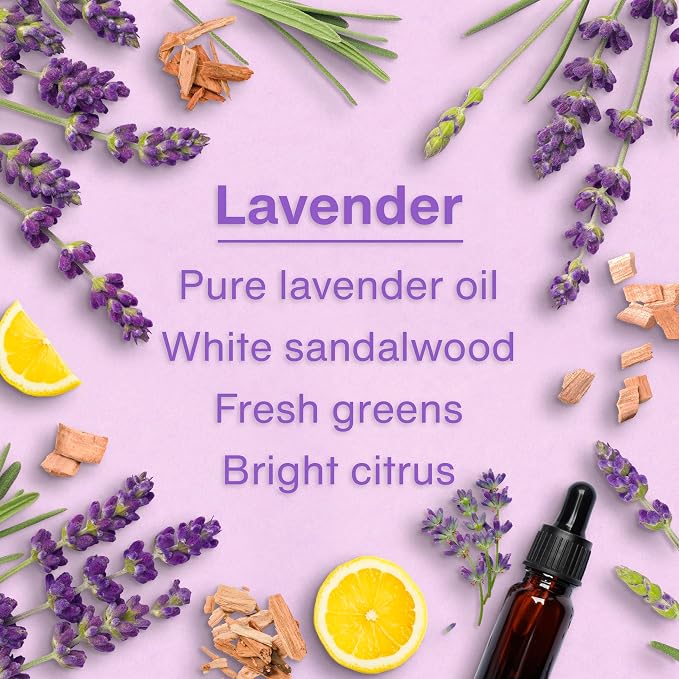 Car Air Freshener | Hanging Tree Provides Long Lasting Scent for Auto and Home | 24 Air Fresheners |Lavender