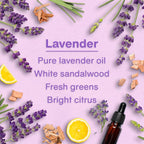 Car Air Freshener | Hanging Tree Provides Long Lasting Scent for Auto and Home | 24 Air Fresheners |Lavender