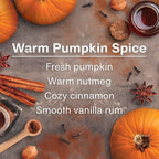 Car Air Freshener | Hanging Tree Provides Long Lasting Scent for Auto and Home | Warm Pumpkin Spice, 24 Air Fresheners