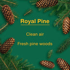 Car Air Freshener | Hanging Tree Provides Long Lasting Scent for Auto and Home | Royal Pine, 24 Air Fresheners