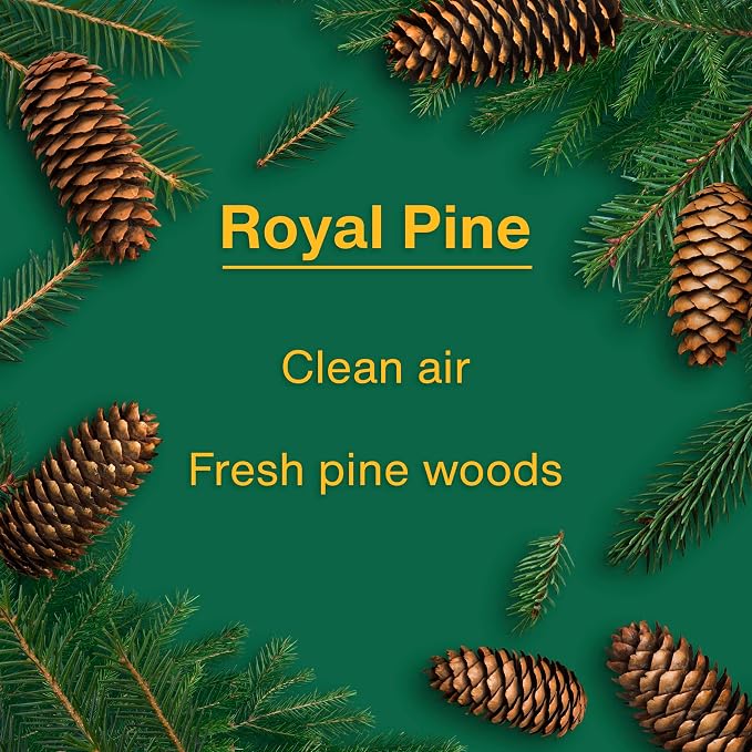 Car Air Freshener | Hanging Tree Provides Long Lasting Scent for Auto and Home | Royal Pine, 24 Air Fresheners