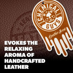 Hanging Air Fresheners - Leather Scent for Cars, Trucks, SUVs, RVs, Home, Office, Work, Dorm Room, & More - 12 Pack - AIR40904