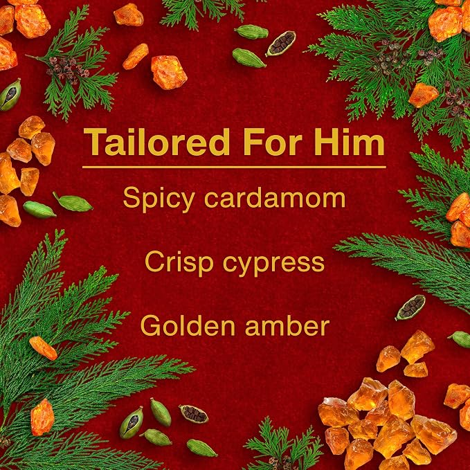 Car Air Freshener | Hanging Tree Provides Long Lasting Scent for Auto and Home | Tailored for Him, 24 Air Fresheners