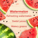 Car Air Freshener | Hanging Tree Provides Long Lasting Scent for Auto and Home | 24 Air Fresheners |Watermelon