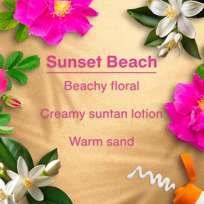 Car Air Freshener | Hanging Tree Provides Long Lasting Scent for Auto and Home | 24 Air Fresheners |Sunset Beach