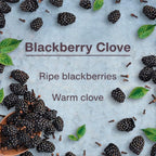 Car Air Freshener | Hanging Tree Provides Long Lasting Scent for Auto and Home | 24 Air Fresheners |Blackberry Clove