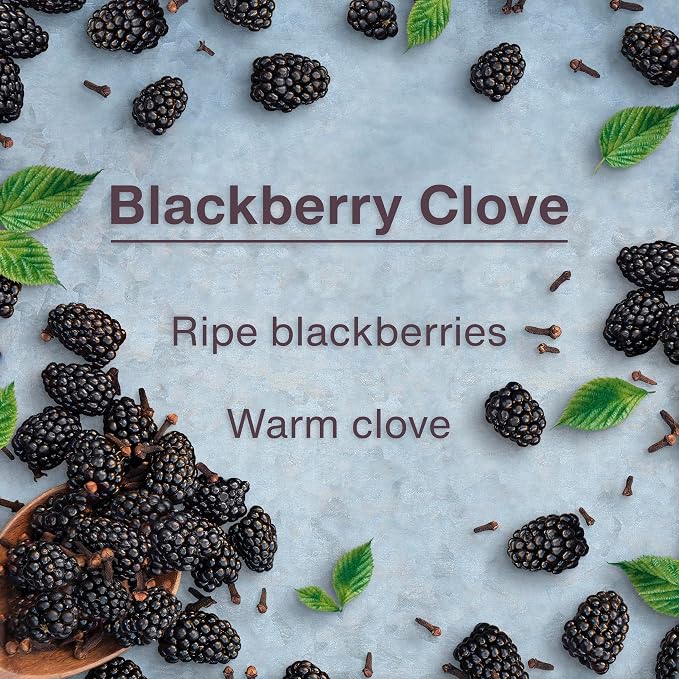 Car Air Freshener | Hanging Tree Provides Long Lasting Scent for Auto and Home | 24 Air Fresheners |Blackberry Clove